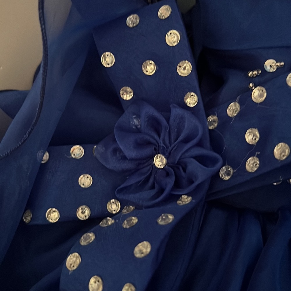 Little Girls Royal Blue Ruffle Organza Party Dress with Embellished Bodice - Picture 8 of 10